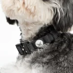 FikaFur Oxford Dog Collar — Black - Image 4