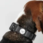 FikaFur Oxford Dog Collar — Black - Image 5